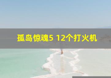 孤岛惊魂5 12个打火机